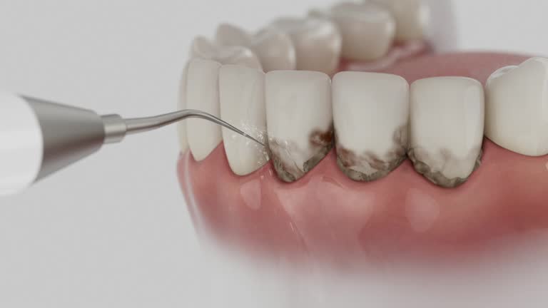 Reliable Dental contractor in Mount Gilead, OH by Dentist Open Now